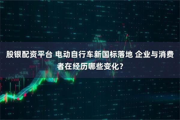股银配资平台 电动自行车新国标落地 企业与消费者在经历哪些变化？